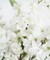 4pcs Artificial Cherry Blossom Stems Silk Peach Blossom Branches Long Stems for Vase Arrangements Home Wedding Table Decor